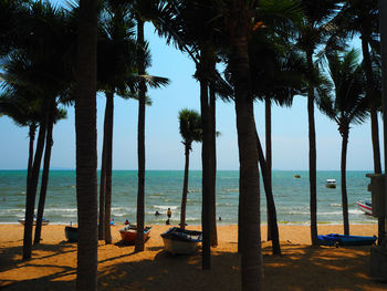 Palm trees by swimming pool by sea against sky