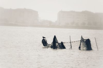 View of birds on wooden post in sea