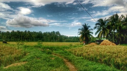 Scenic view of field against cloudy sky