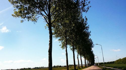 Scenic view of road against blue sky