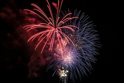 Low angle view of firework display at night
