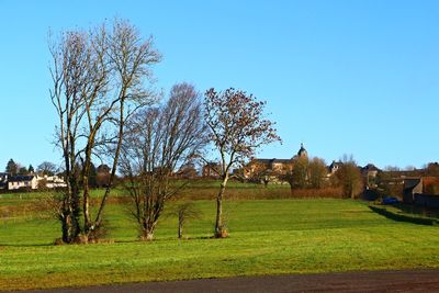 Trees on grassy field against clear sky