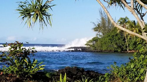 Scenic view of sea against blue sky