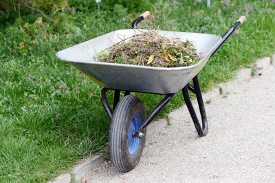 Dry leaves and twig in wheelbarrow on field at garden