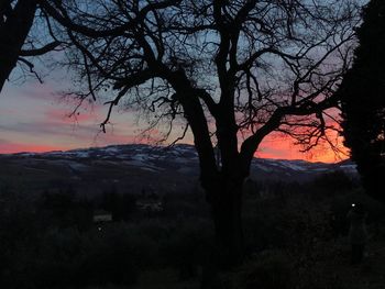 Silhouette bare tree on landscape against sky during sunset