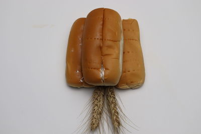 High angle view of bread against white background