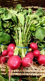 High angle view of vegetables