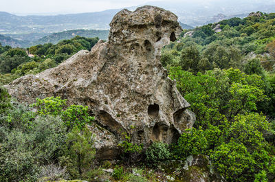 Close-up of rock on landscape against sky