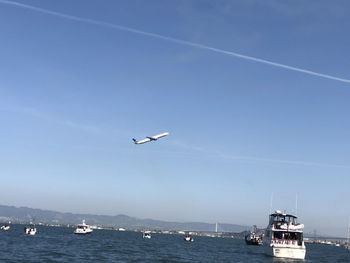 Seagulls flying over sea against sky
