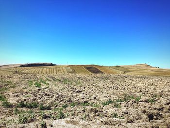 Scenic view of landscape against clear blue sky