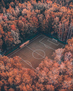 High angle view of trees and plants during autumn