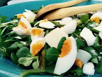 Close-up of salad served in plate