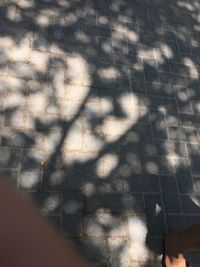 Full frame shot of patterned floor