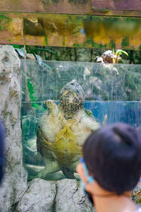 Rear view of man in aquarium