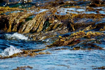 Surface level of water flowing in sea