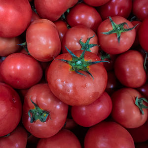 Full frame shot of tomatoes