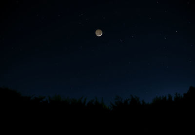 Low angle view of silhouette trees against sky at night