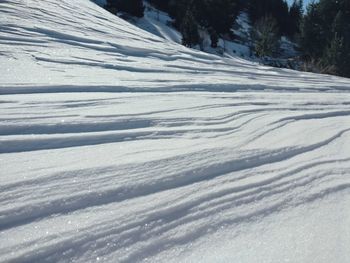 Snow covered landscape