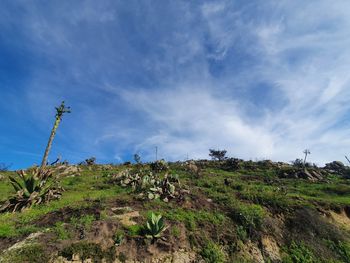 Scenic view of land against sky