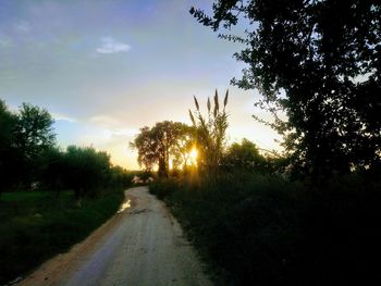 Road amidst trees against sky during sunset