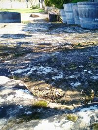 Stream flowing through rocks