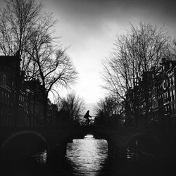 Canal along bare trees