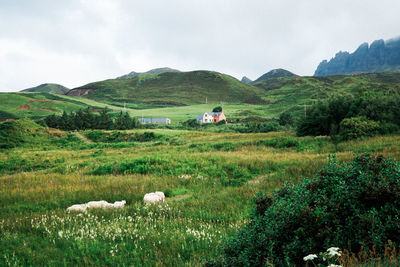 Scenic view of landscape against sky