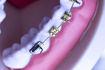 Close-up of artificial teeth