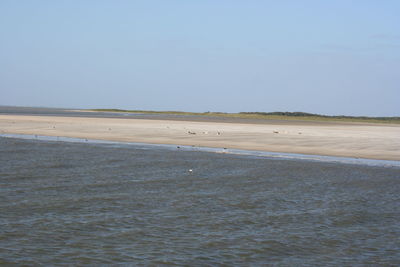 Scenic view of beach against clear sky