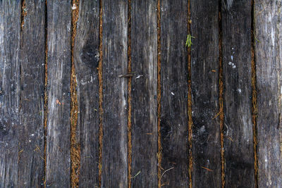 Full frame shot of wooden wall