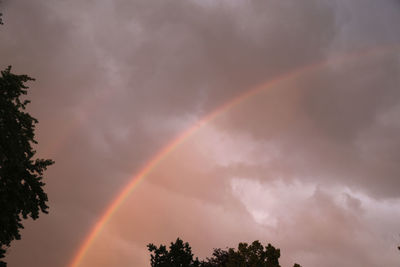 Low angle view of rainbow over trees against sky