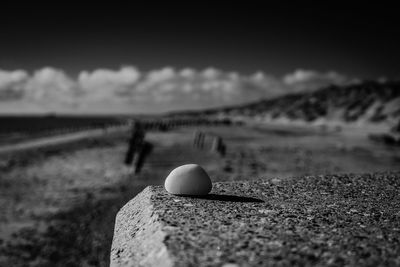 Close-up of shell on sand against sky