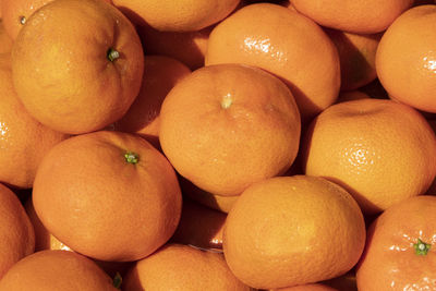 Full frame shot of oranges