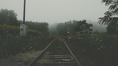 Railroad track at sunset