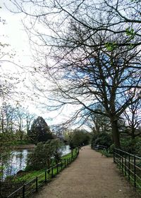 Footpath leading towards trees