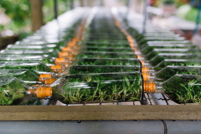 Close-up of food on sidewalk