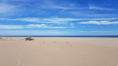 Scenic view of beach against blue sky
