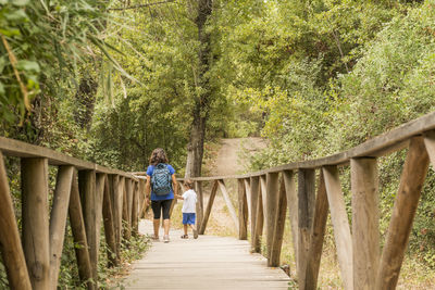 People walking on footpath in forest