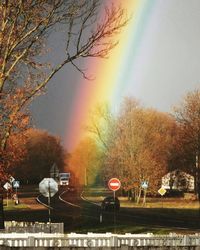 Bare trees against sky