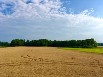 Scenic view of field against sky