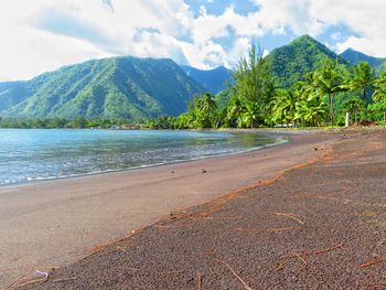 Scenic view of beach against sky