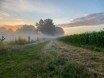 Scenic view of field against sky during sunset