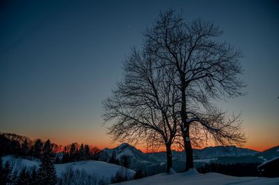 Bare trees on snow covered field against sky during sunset