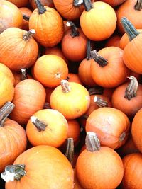 Full frame shot of pumpkins at market