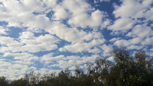 Low angle view of trees against cloudy sky
