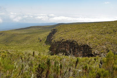 The high altitude moorland of mount kilimanjaro, tanzania