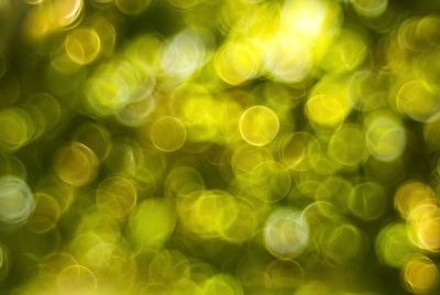 Defocused image of christmas lights