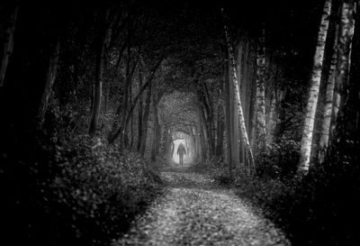 Dirt road amidst trees