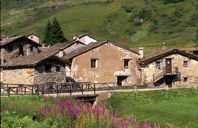 Houses in the house