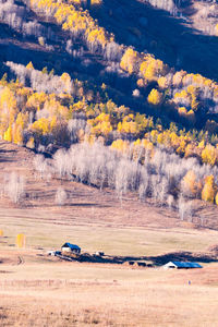 Scenic view of landscape during autumn